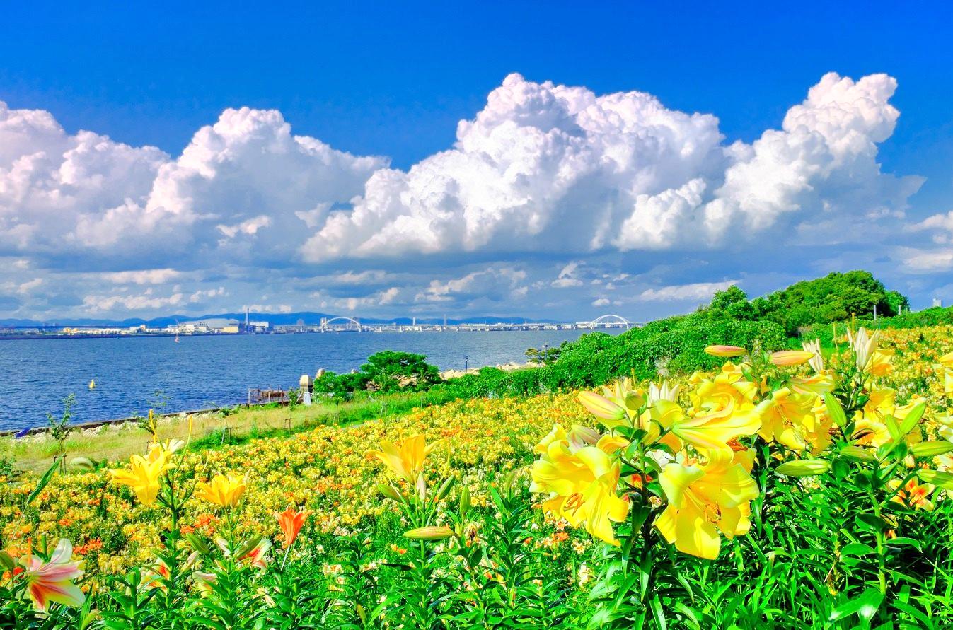 大阪舞洲百合園旅遊攻略指南 大阪舞洲百合園評論 大阪舞洲百合園附近推薦 Trip Com 大阪舞洲百合園旅遊攻略指南 大阪舞洲百合園評論 大阪舞洲百合園附近推薦 Trip Com