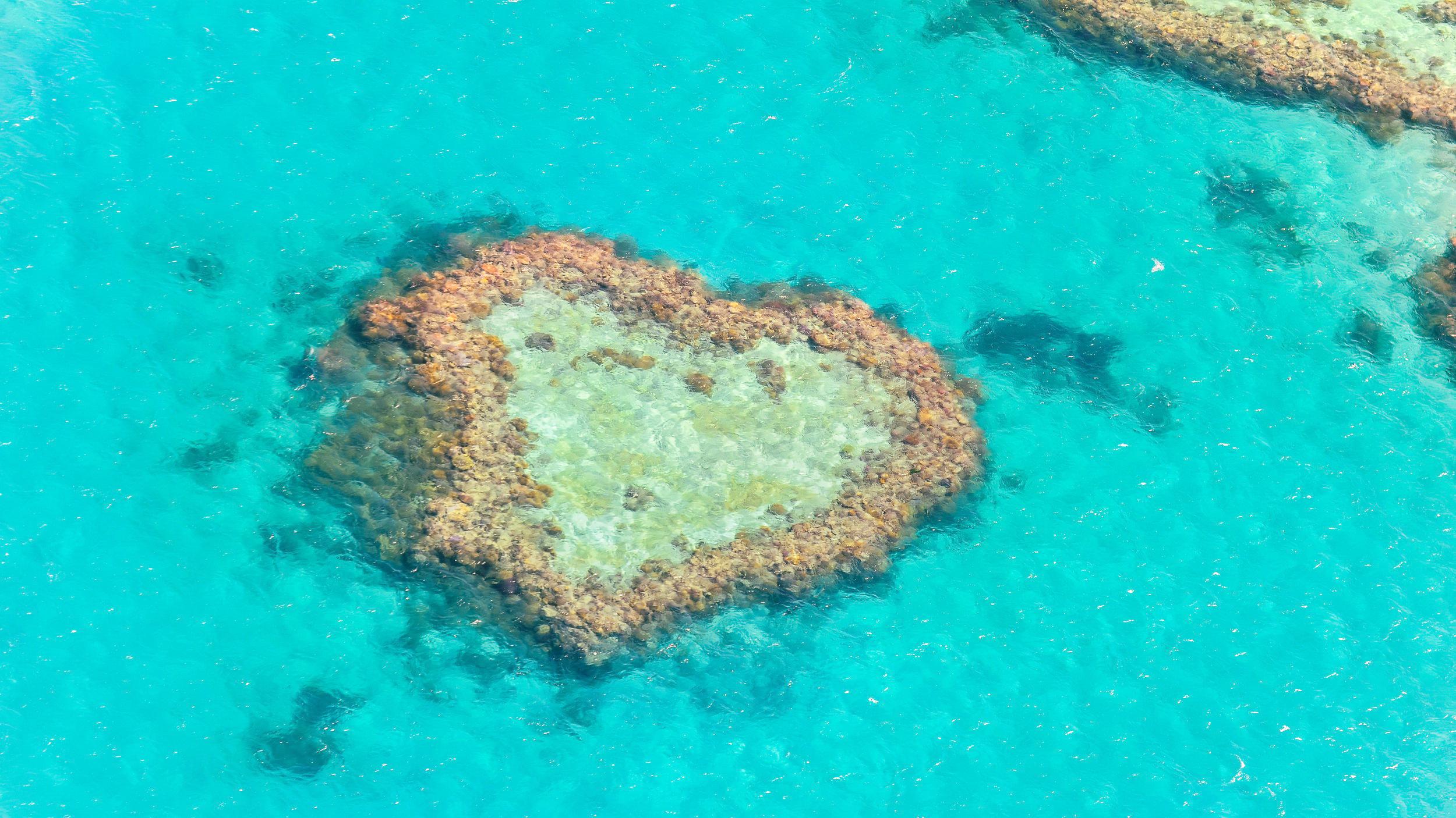 Great Barrier Reef グレート バリア リーフ 評判 案内 トリップドットコム