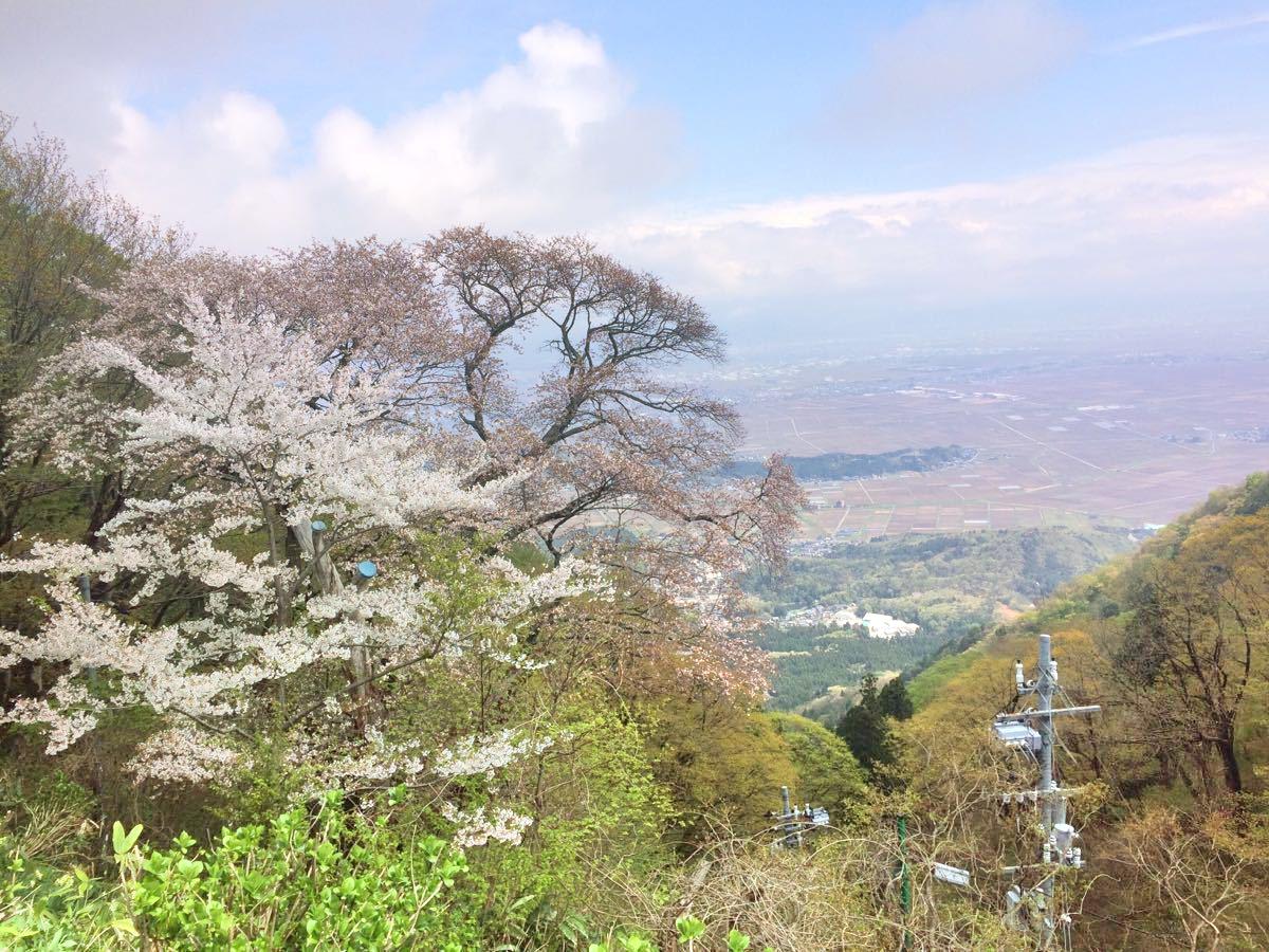 21長岡市旅遊攻略 長岡市好去處 長岡市觀光景點21 Trip Com