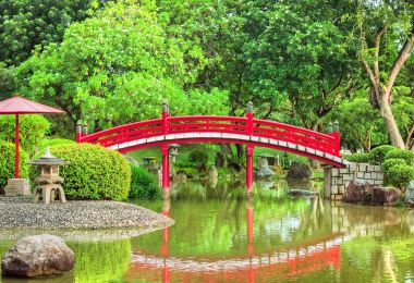 중국과 일본 정원 명소 인기 사진