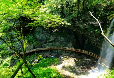 랴오양 우룽둥 국립 삼림 공원 명소 인기 사진