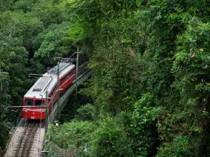 Asunaro Sightseeing Train