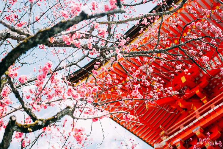 Kiyomizu-dera Temple travel guidebook –must visit attractions in Kyoto ...