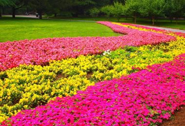 Great Flower World Popular Attractions Photos
