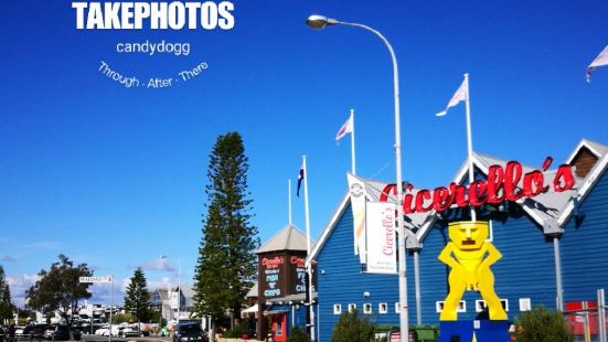 Cicerello's Fremantle