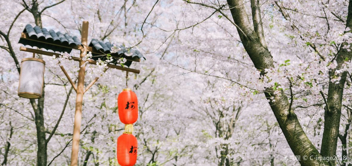 武漢