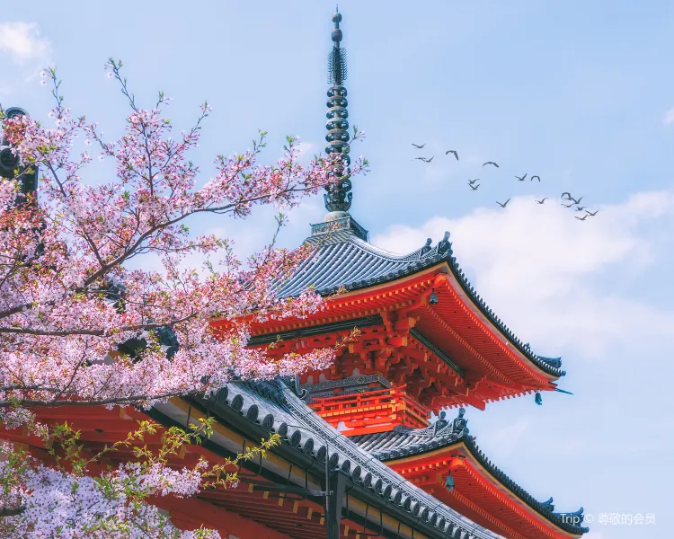 京都 熱門旅遊攻略照片