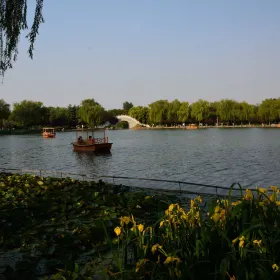 QinHan Urban Agriculture