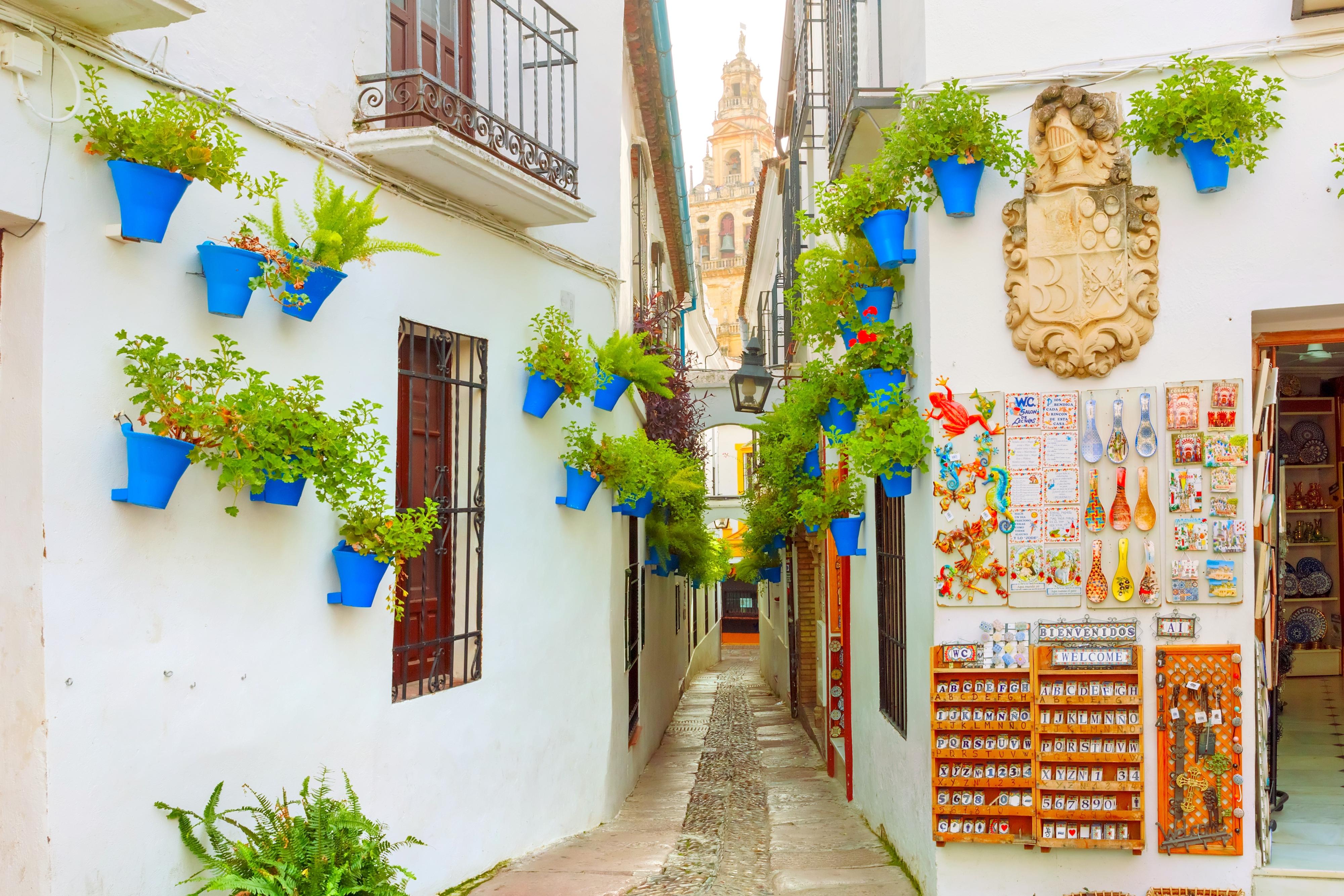 Calleja de las Flores attraction reviews - Calleja de las Flores tickets - Calleja de las Flores discounts - Calleja de las Flores transportation, address, opening hours - attractions, hotels, and food Calleja de las Flores attraction reviews - Calleja de las Flores tickets - Calleja de las Flores discounts - Calleja de las Flores transportation, address, opening hours - attractions, hotels, and food