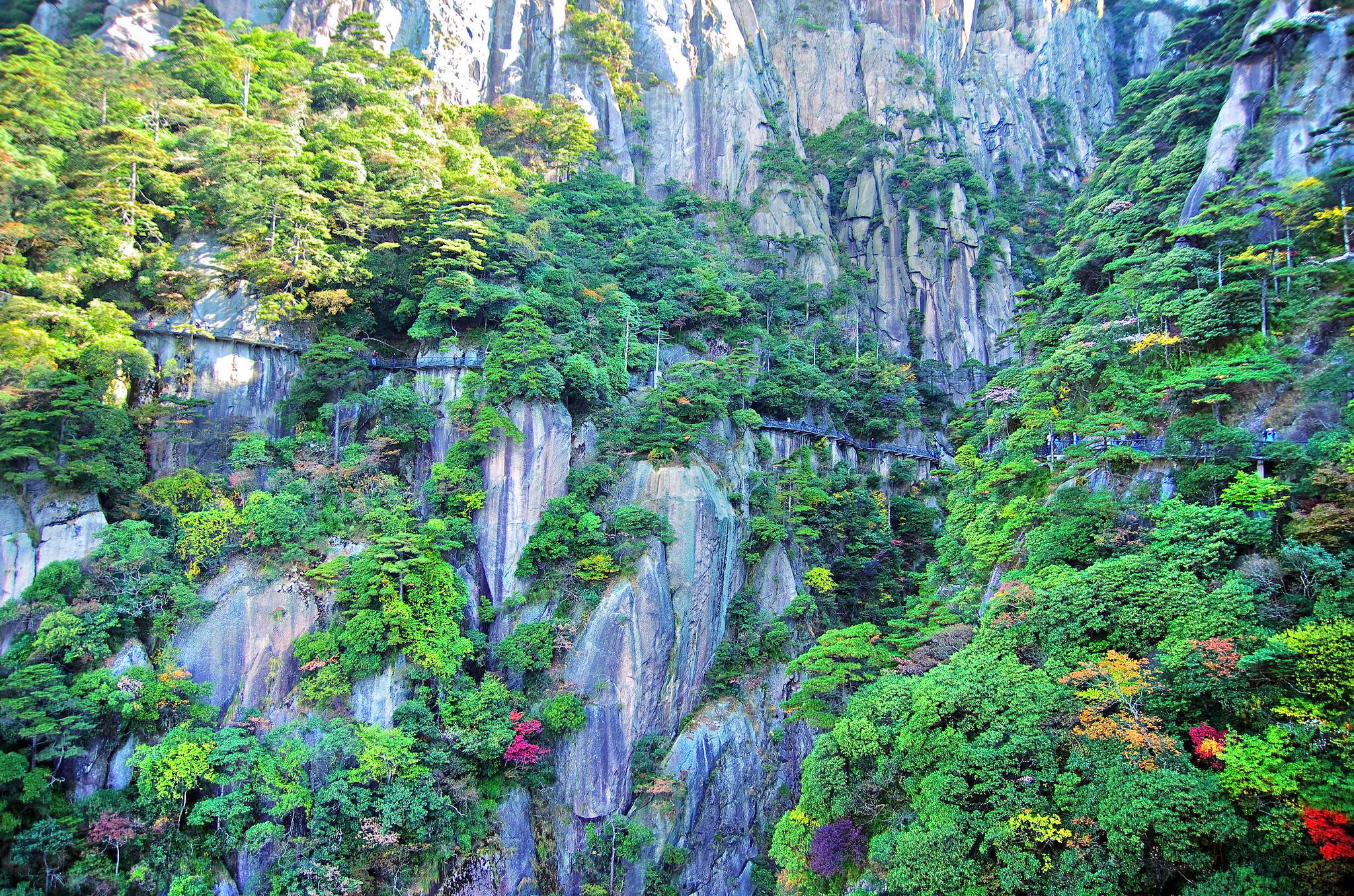 三清山風景區旅遊攻略指南 三清山風景區評論 三清山風景區附近推薦 Trip Com