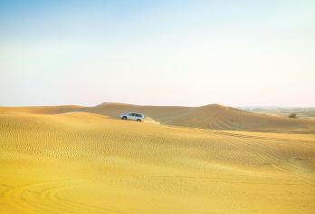 Dubai Desert Conservation Reserve Popular Attractions Photos