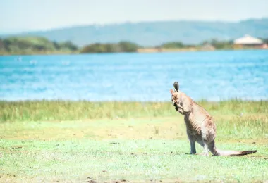 塔斯馬尼亞動物園 熱門景點照片