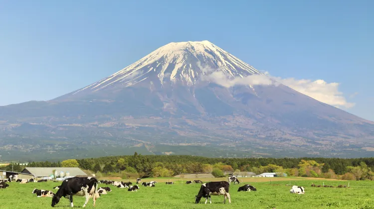 朝霧高原のレビュー 朝霧高原のチケット 朝霧高原の割引 朝霧高原の交通機関 所在地 営業時間 朝霧高原周辺の観光スポット ホテル グルメ Trip Com