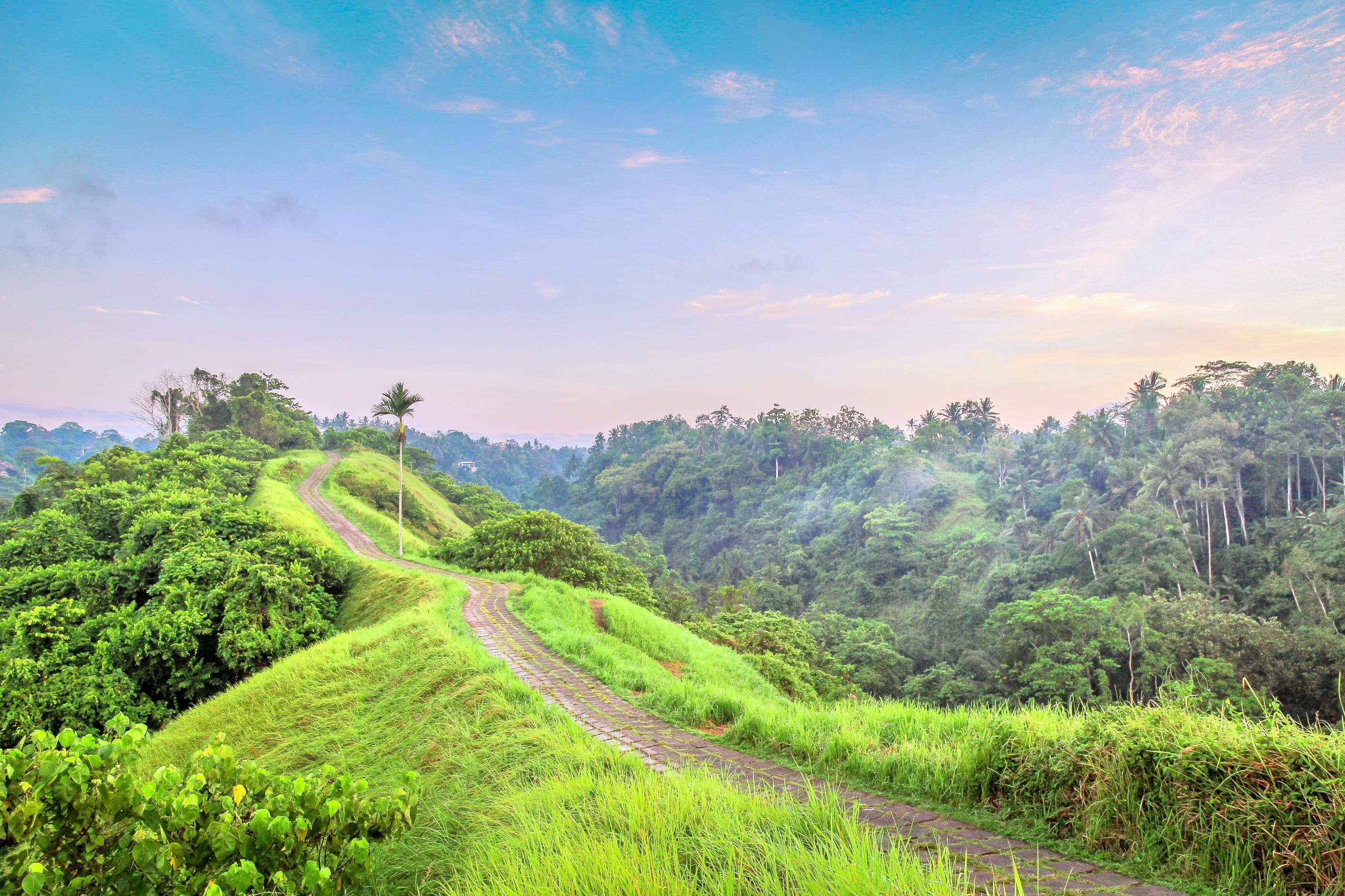 Bukit Campuhan, Perpaduan Keindahan Alam Di Bali Yang Tampak Seperti ...