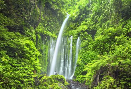 Sendang Gile and Tiu Kelep Waterfall