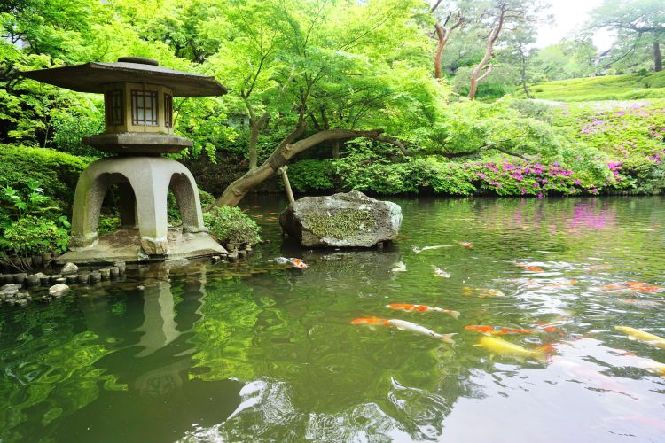 八芳園旅遊攻略指南 八芳園評論 八芳園附近推薦 Trip Com