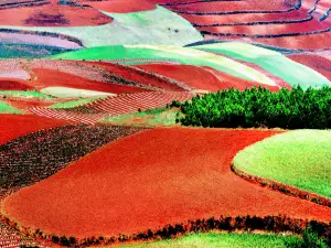 Jinxiu Garden Colorful Slope