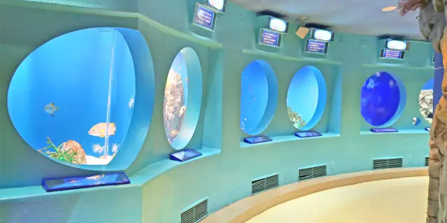 22三浦市熱門推薦活動 三浦市旅遊攻略 三浦市人氣推介景點門票 酒店 好去處 餐飲及餐廳 Trip Com