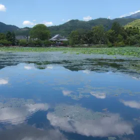 Osawaike
