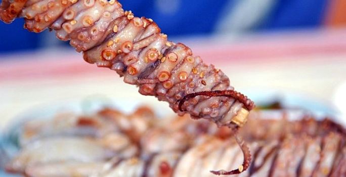 Jogeum Port Mud Flat Octopus