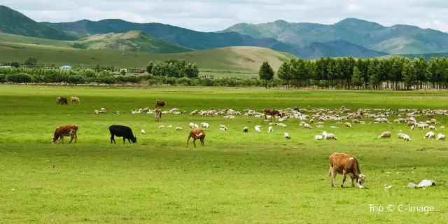 Inner Mongolia in China: 49 projects and 186 network IPs related to cryptocurrency mining were closed