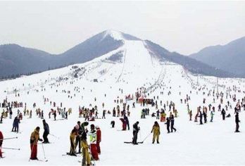 蓮青山滑雪場 熱門景點照片