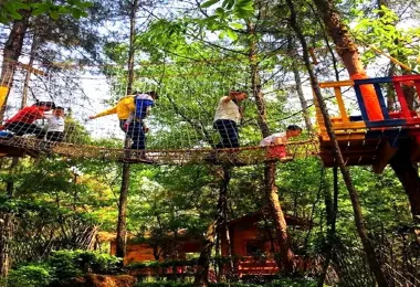 Wuhan Squirrel Tribe Forest Holiday Park Popular Attractions Photos