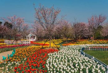 Yunlanwan-Four Seasons Flower Park Popular Attractions Photos