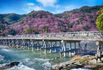 Arashiyama Popular Attractions Photos
