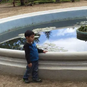 Ruth Asawa Fountains