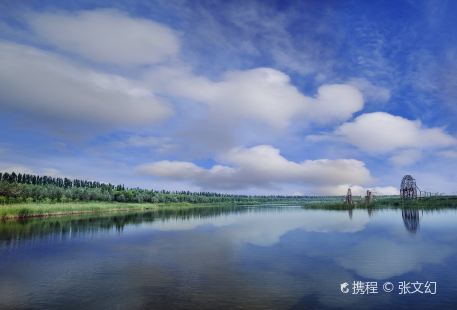 Yinchuan Mingcui National Wetland Park