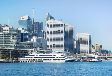 Sydney Harbour Delicacy Cruise