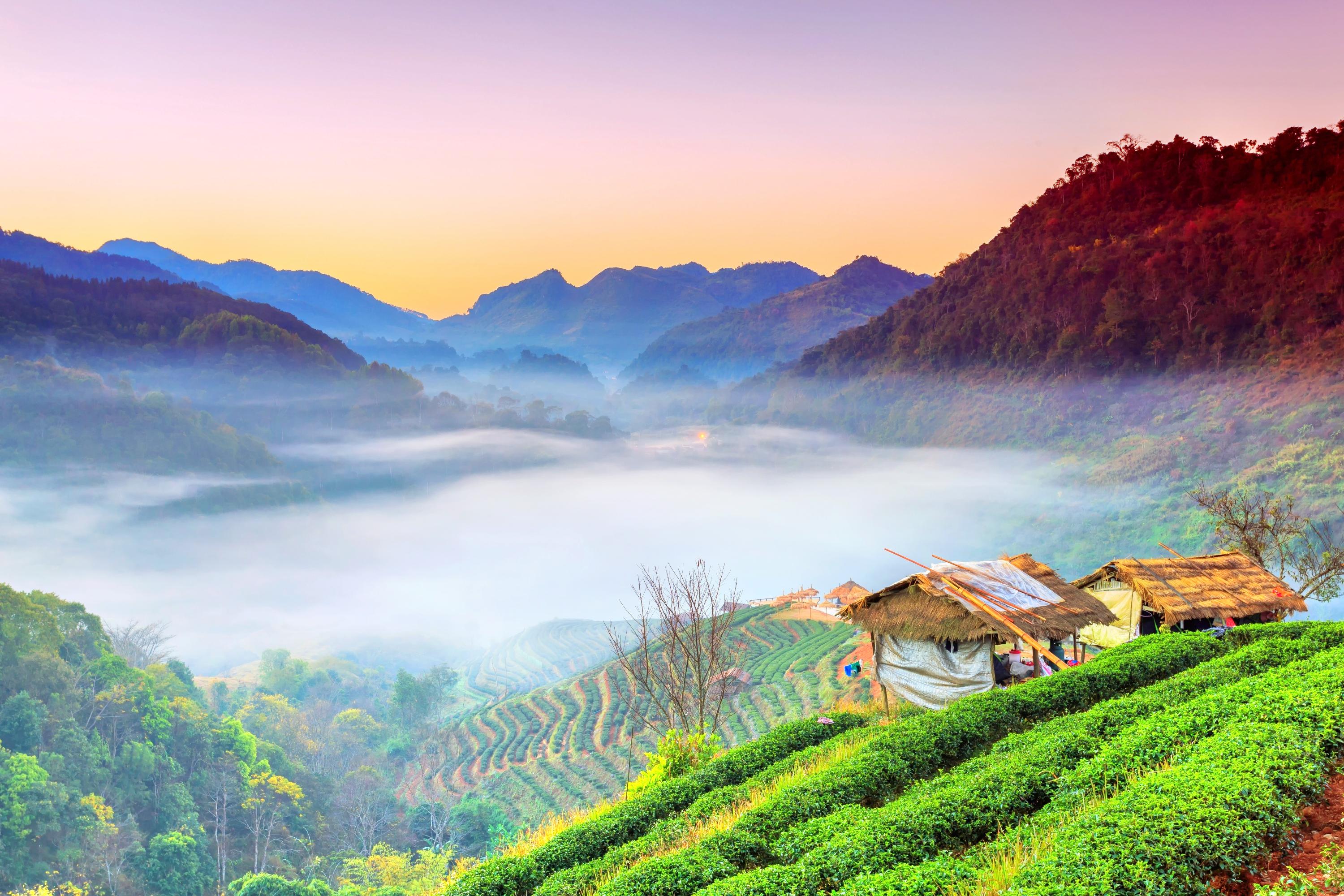 Doi Ang Khang Travel Guidebook Must Visit Attractions In Mon Pin Doi Ang Khang Nearby Recommendation Trip Com