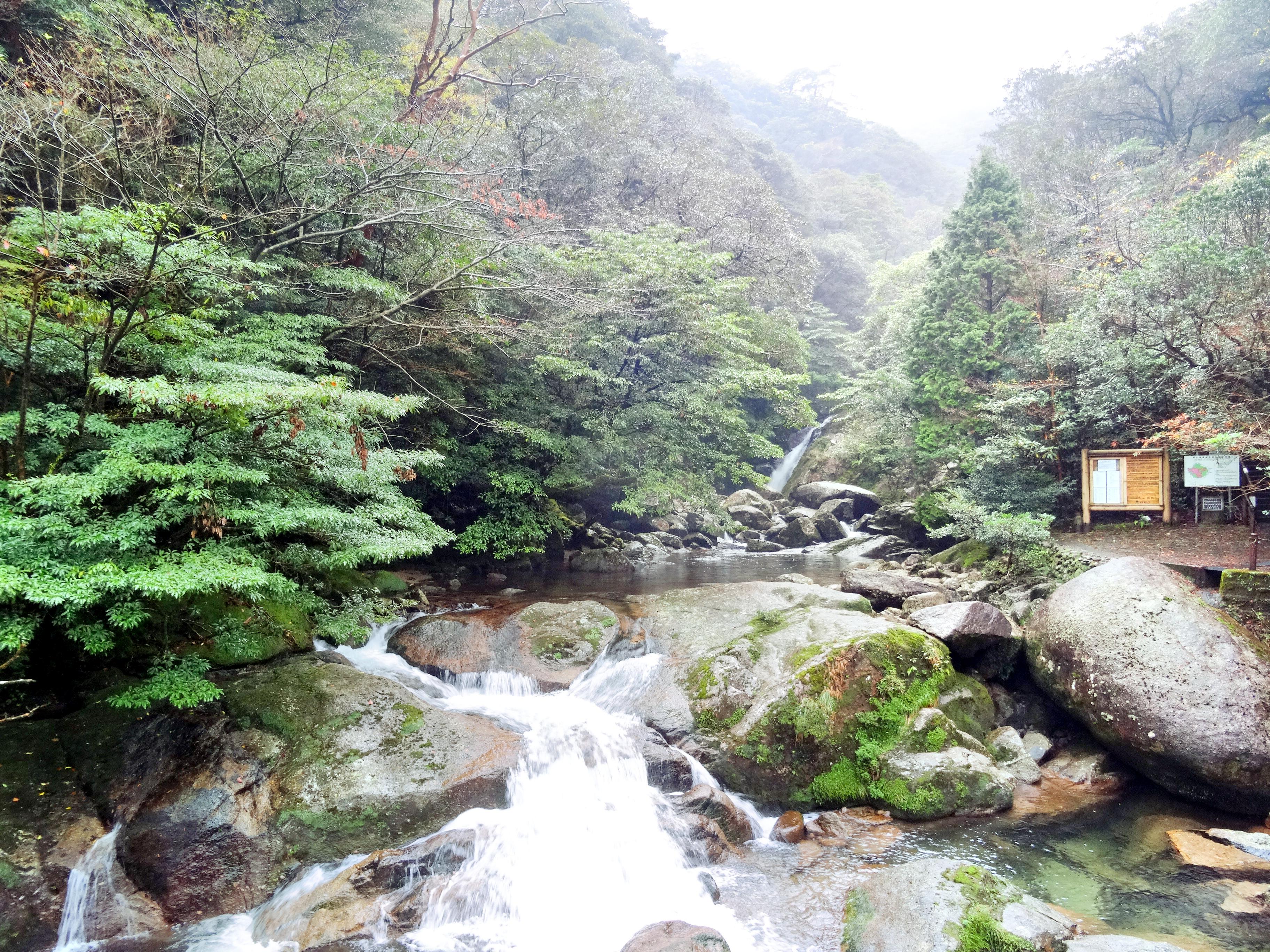 白谷雲水峡のレビュー 白谷雲水峡のチケット 白谷雲水峡の割引 白谷雲水峡の交通機関 所在地 営業時間 白谷雲水峡周辺の観光スポット ホテル グルメ Trip Com