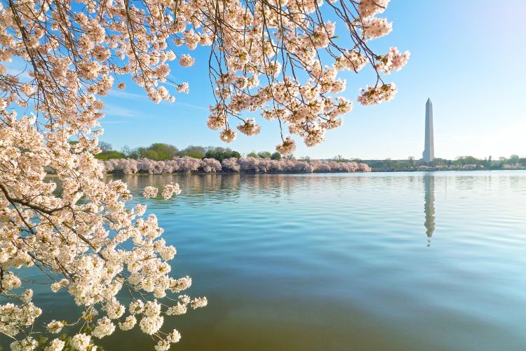 Tidal Basin travel guidebook –must visit attractions in Washington D.C ...