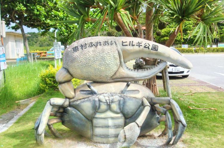 東村 東村ふれあいヒルギ公園 評判 案内 トリップドットコム