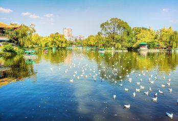 翠湖公園 熱門景點照片