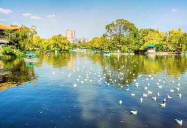 翠湖公園 熱門景點照片