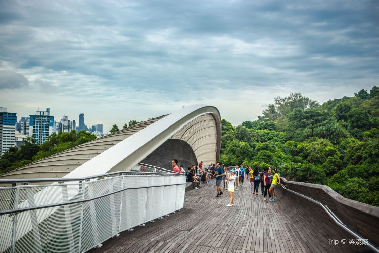 Henderson Waves travel guidebook –must visit attractions in Singapore ...