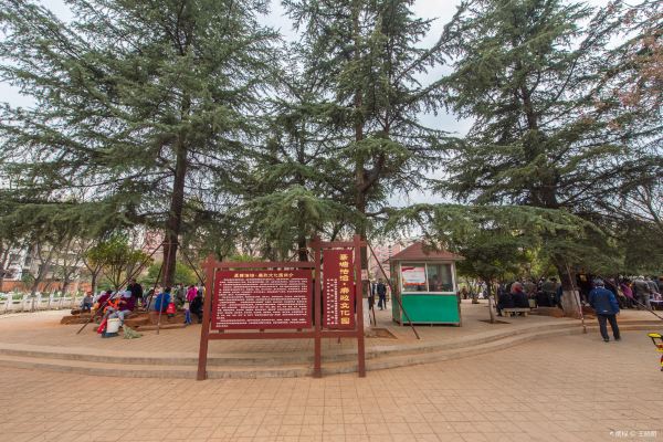 旅游攻略社区>目的地>秋园> > 目的地 > 秋园
