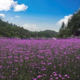 花千谷生態旅遊景區