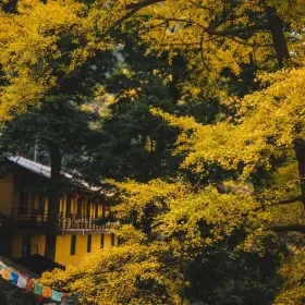 Baiyan Temple