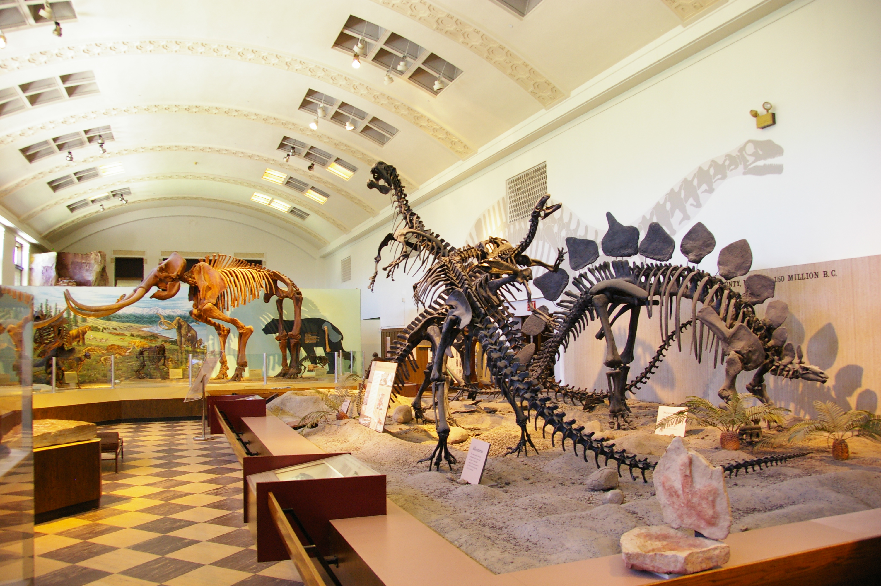 Natural History Museum Of Utah Jobs