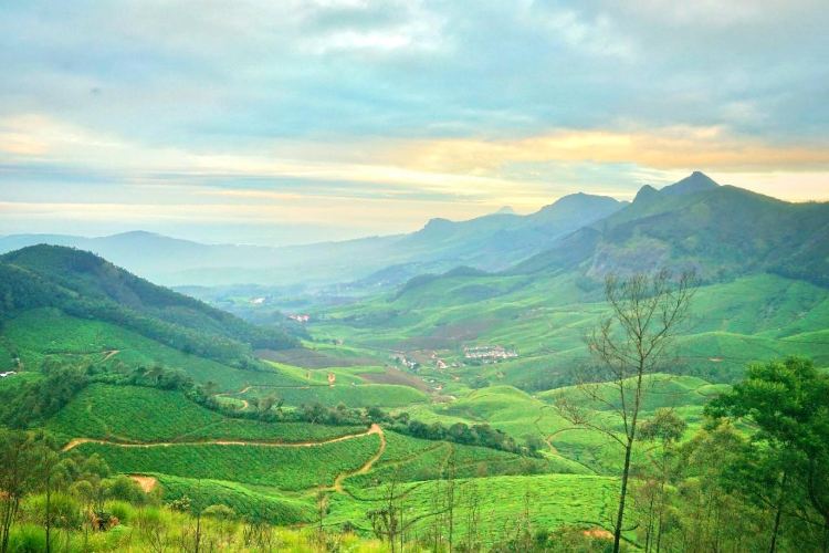Tata Tea Museum Travel Guidebook Must Visit Attractions In Munnar Tata Tea Museum Nearby Recommendation Trip Com Tata Tea Museum Travel Guidebook Must Visit Attractions In Munnar Tata Tea Museum Nearby Recommendation Trip Com