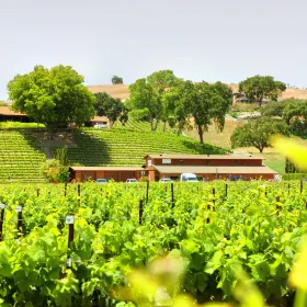 Santa Ynez Valley
