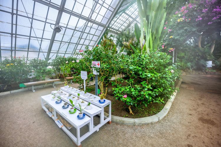 函館 函館市熱帯植物園 評判 案内 トリップドットコム