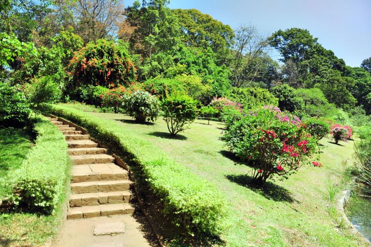 Hakgala Botanic Gardens travel guidebook must visit attractions in