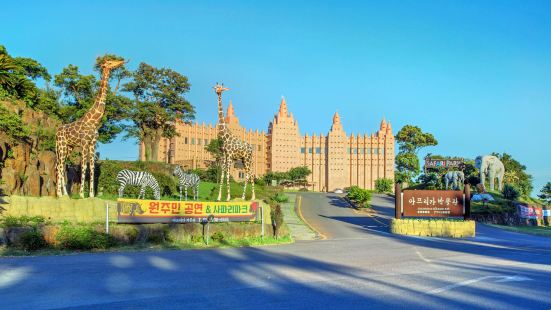 Joanne Bear Museum Photos, Photos of Seogwipo Attractions