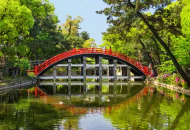 Sumiyoshi Taisha Popular Attractions Photos