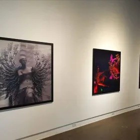 Bay of Spirits Gallery